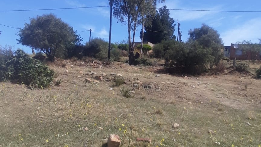 Property thumbnail 3