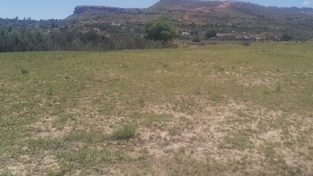 Property thumbnail 4