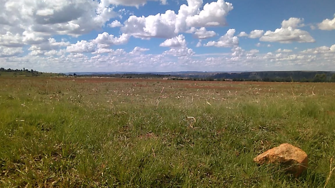 <p>Ts'imo ena e motseng oa Sehlabeng Ha Rammoroane</p><p>Ke ts'imo e ntle haholo bakeng sa temo ho bile hona le borehole sebakeng sa metsi</p>