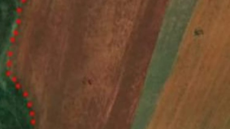 <p>Ts'imo ena e Ha Makhomo ha u qeta ho feta khorong tseleng e eang Metolong</p><p>E ntle haholo bakeng sa temo e kholo</p>