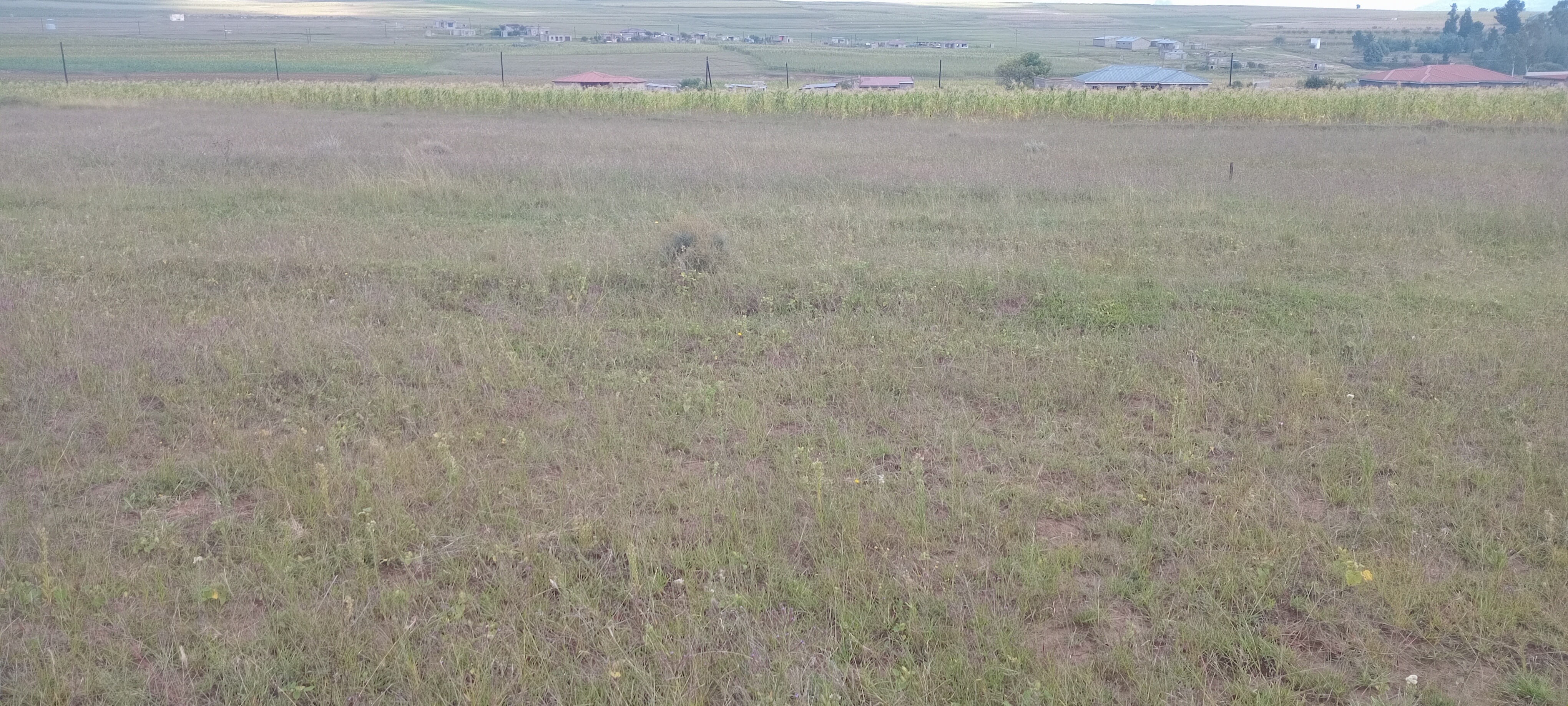 Site for sale at Thaba Khupa - Ha Makhalanyane. It is size - 20m by 25m and it has Form C. Two minutes walk from tar road. Electricity is available. Water is available.