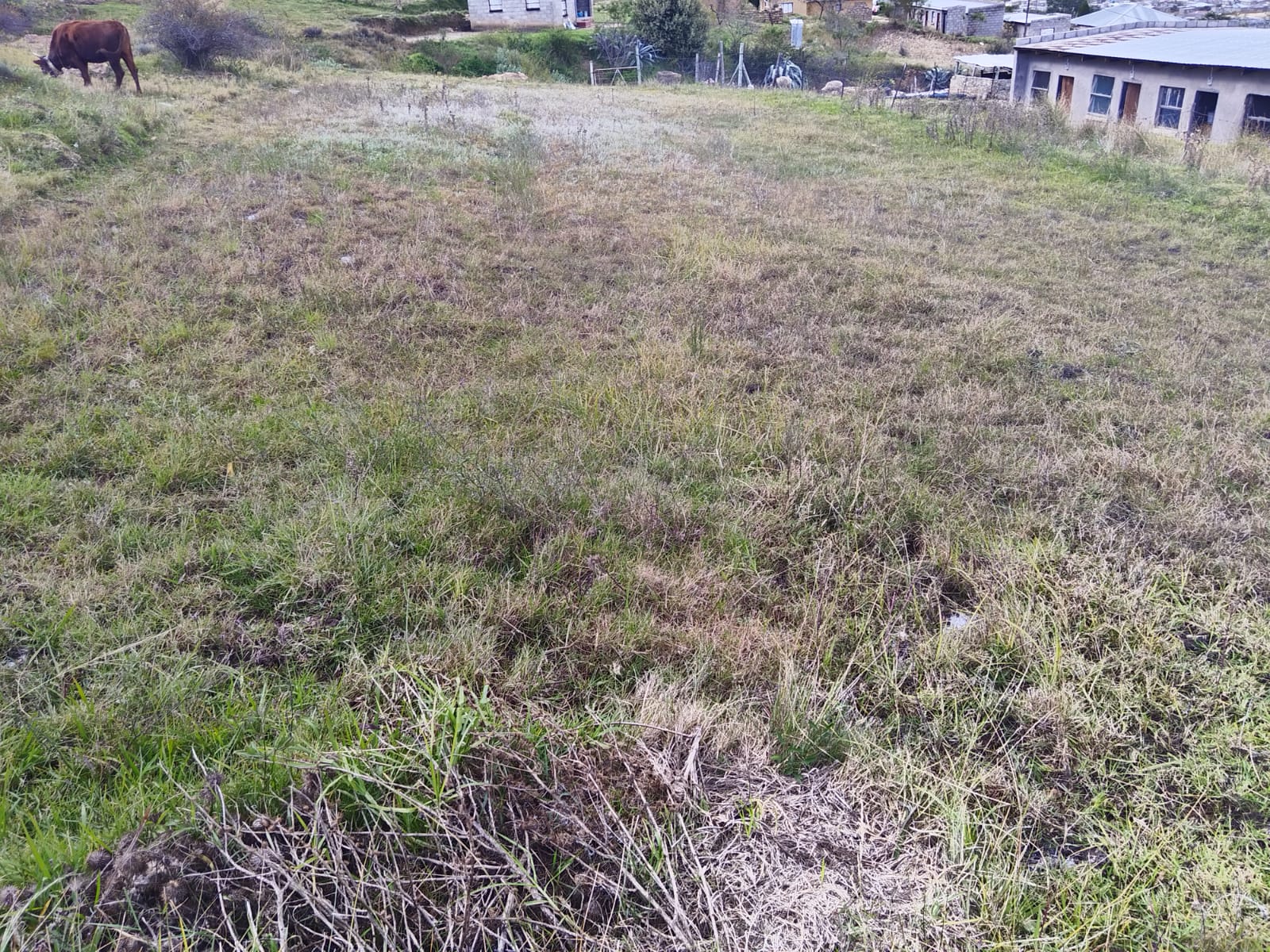 Ha-Shelile ka Mora Maseru Private Academy.
Re seha ho latela na buyer e batla boholo bo bokae, empa re qala ka 400sqm.