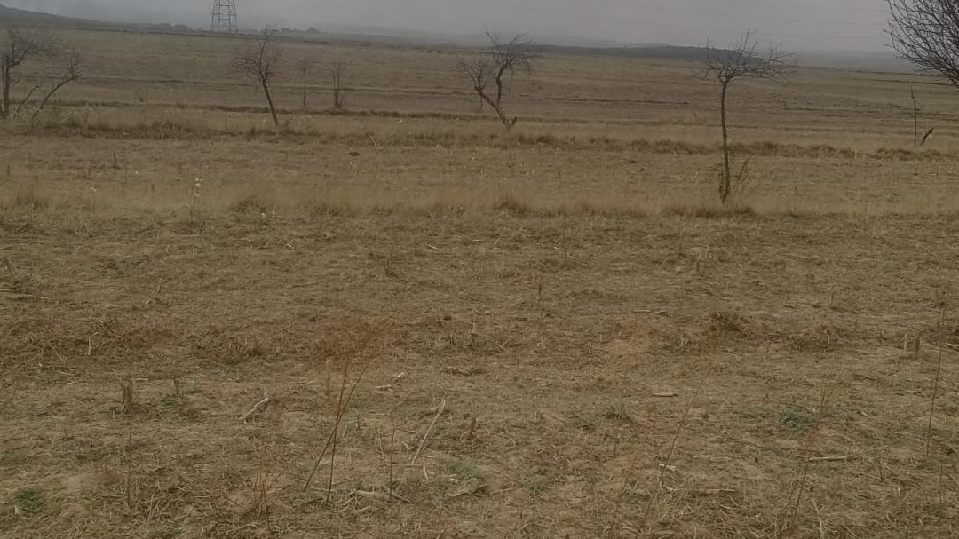 <p>Tshimo ena e Mokhethoaneng Libuping</p>