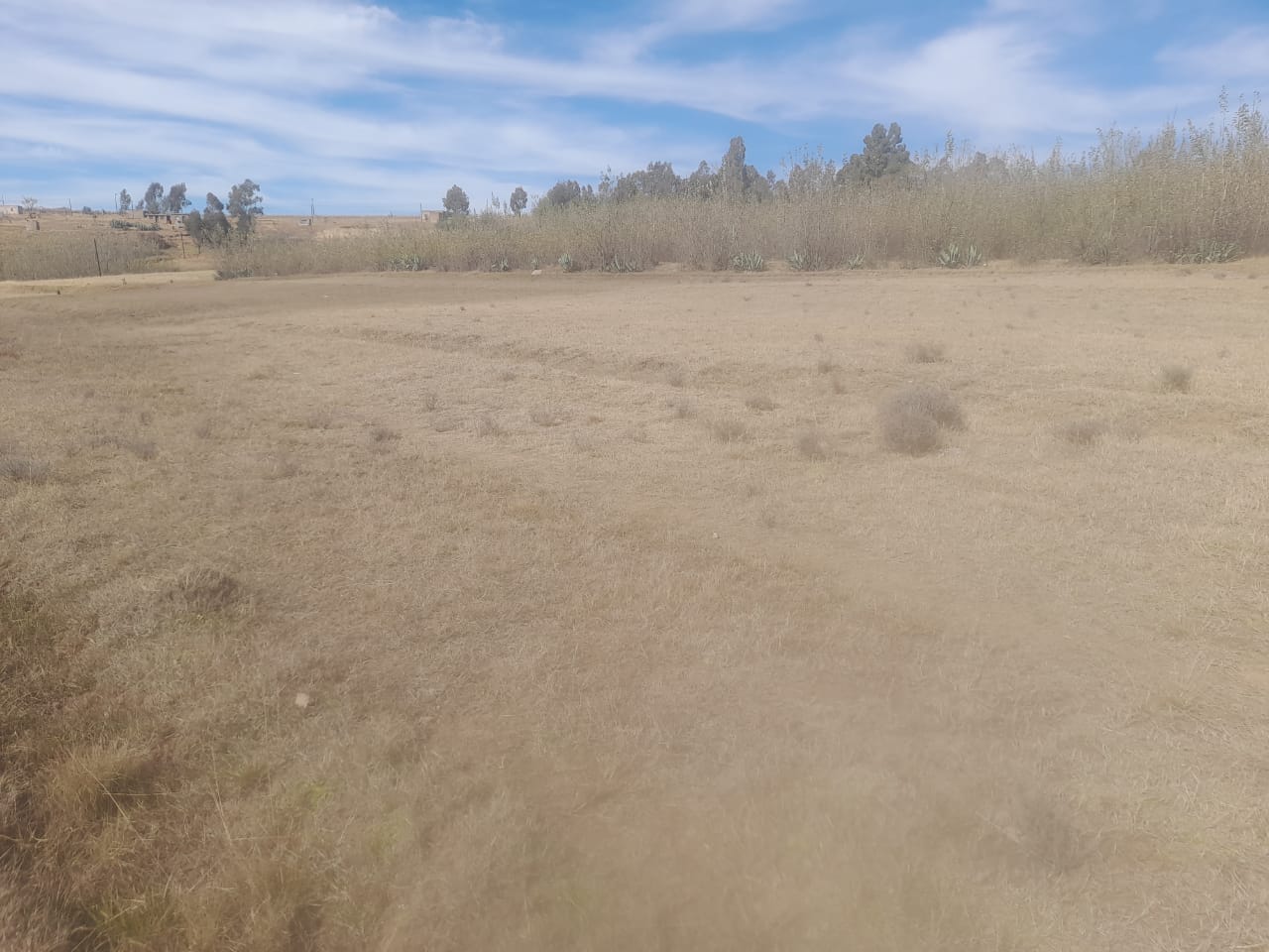 Tsimo for sale at Thaba Bosiu, Ha Lesoiti. Size - 30m x 100m. Document - Form C.